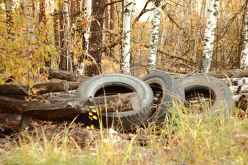 Russia, Moscow region, forest belt. Date 15/10/2023. Car tires in the forest.