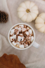  a white cup of coffee with marshmellow on white napkin,Little white pumpkins, burning candle, fur cone. Top view.