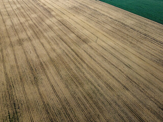 Agricultural fields, top view. Farmed fields, bird's-eye view of the landscape.