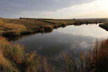 A small pond in a field