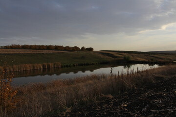 A body of water with grass and trees around it