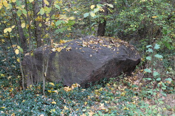 A large rock in the woods