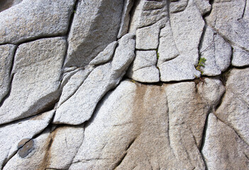 Skagway Town Smugglers' Cove Smooth Rocks