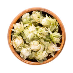 Hops, dried hop flowers in a wooden bowl. Humulus lupulus, member of the Cannabaceae family, used...