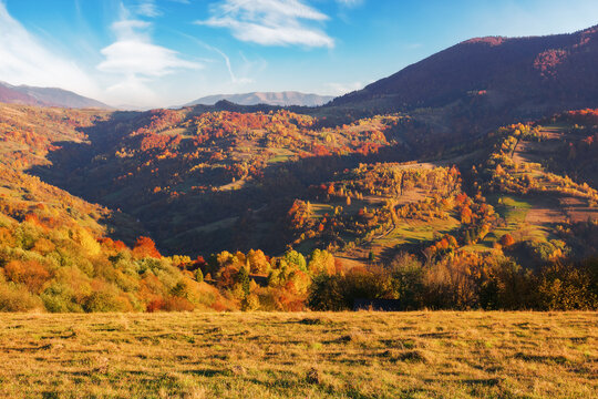 carpathian mountain landscape in autumn. beautiful countryside scenery with forested hills in evening light