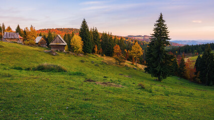 beautiful mountainous countryside landscape of romania in autumn. rolling hills, forested slopes and open vista in evening light. rural tourism concept - obrazy, fototapety, plakaty