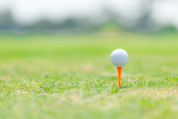 Close-up golf ball on tee with blur green background.