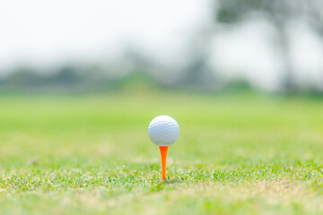 Close-up golf ball on tee with blur green background.