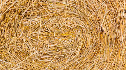 haystack straw prepared for farm. Stack dry hay. Hay texture. Hay bale is stacked in large stack. rural autumn with hay. straw summer background. Traditional haystack