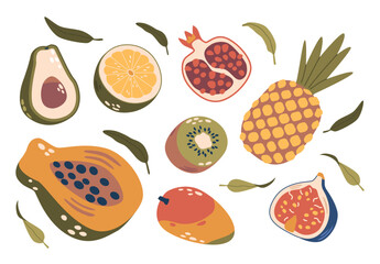 Tropical Fruits Set. Pineapple, Figs, Garnet And Papaya With Lime, Avocado, Kiwi Or Mango, Delectable Exotic Produce