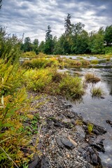 the landscape has rocks and brush, in a valley with trees
