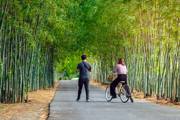 Asian woman try to ride bicycle in sunny bamboo park. Asian lovers ride bicycle with having fun to exercise activity together in garden. Chilling and relaxing family enjoys nature. Selective focus.