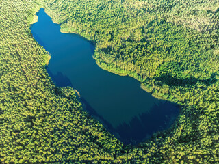 Aerial view of a lake in the forests of Lithuania, wild nature. The name of the lake is "Glynas", Varena district, ''Dzukija national park'', Europe.