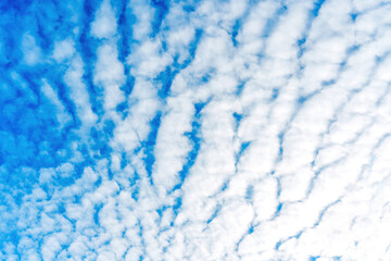 Obraz premium Feathery Clouds in a Blue Sky