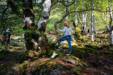 Woman hiker contemplating the beauty of a beech tree with a huge trunk, Alava, Spain