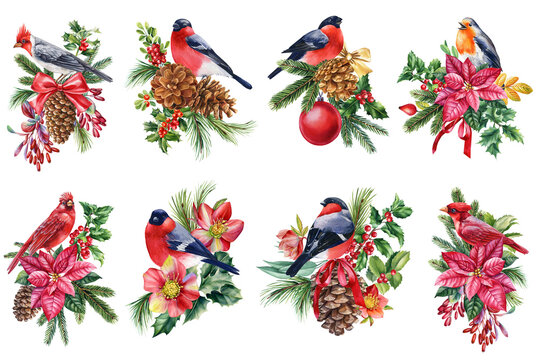 Winter birds watercolor isolated on white background. Hand painted Christmas illustration