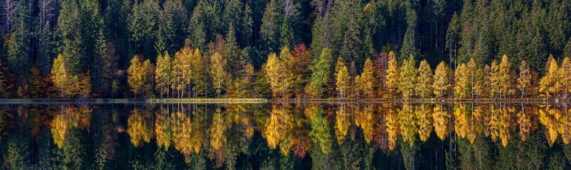 Idyllic autumn panoramic landscape with colorful green and yellow trees reflecting in the lake. Transylvania, Saint Anne Lake.