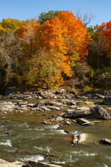 Fall on the Vermillion River.