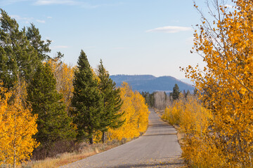 Obraz premium Autumn road