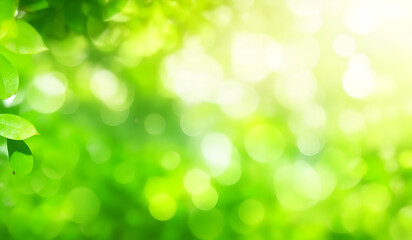 Fototapeta na wymiar Green leaves on blurred greenery background with bokeh and sunlight