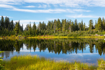 Obraz premium Lake in the forest
