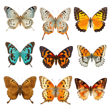Set of Butterfly on transparent background