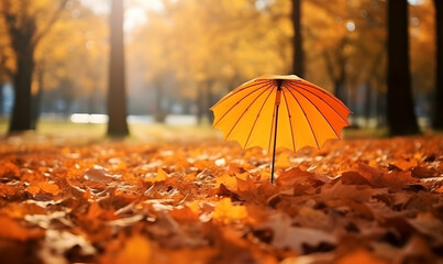 Autumn Season, maple leaf background on autumn or spring season, red and orange maple leaf falling down on the ground in an autumn season, Single maple leaf, Isolated autumn background