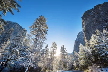 Fotobehang Winter in Yosemite © Galyna Andrushko