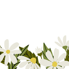 border with White daisy, chamomile flowers. Vector illustration set. Cute round flower head plant nature collection. Decoration element. Love card symbol. Flat design for cards, packaging, prints.