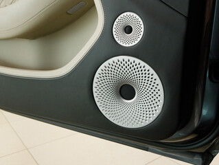 premium music with multiple speakers on the door of an expensive car