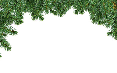 Christmas wreath , garland or pine tree background  © BHASKAR