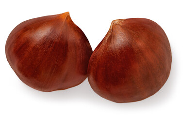 Horse Chestnuts isolated on white background. Autumn  Chestnuts closeup.