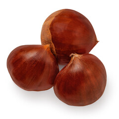 Horse Chestnuts isolated on white background. Autumn  Chestnuts closeup.