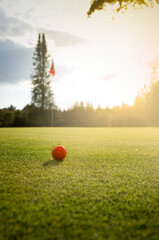 Orange Golf Ball on Green at Twilight