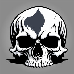 A half cut skull with a white background.