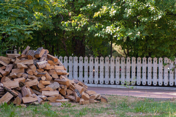stack of firewood in a garden