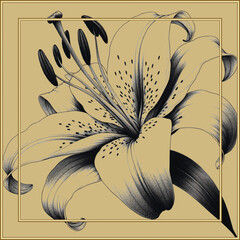 Lily flower line art 3d drawing pattern with square gold frames. Floral vector background. Botanical backdrop. Hand drawn surface textured lines lilies ornament. Decorative ornate luxury design