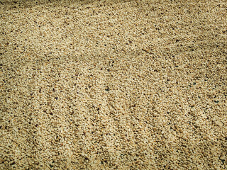 Kona Coffee 2023 Hawaii-33