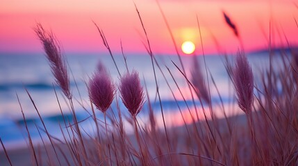 flowers focus sunset tranquility grace landscape zen harmony calmness unity harmony photography - Powered by Adobe