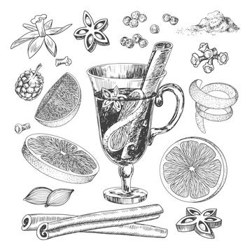 Engraving style glass of mulled wine. Sketch style set of ingredients for mulled wine. Black and white hand drawn illustration with winter drinks. Anise, cinnamon, orange, lime, cloves, raspberry