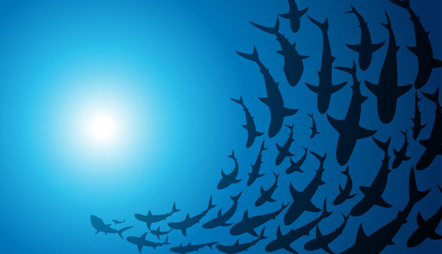 Fish Silhouette of large of shark. Vector illustration.