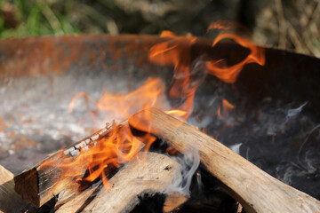 Fire campfire wood fire embers