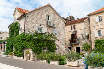 Fototapeta na wymiar Old brick house with green liana, plants in the popular resort town of Perast, Montenegro 