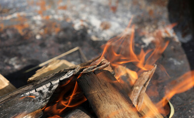 Fire campfire wood fire embers