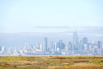 Wetland on the West end of Alameda Island in the foreground with San Francisco, shrouded in low lying marine layer in the background. Contrast of nature and industry.