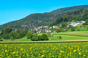Egerkingen-Oberbuchsiten im Bezirk Gäu im Kanton Solothurn, Schweiz 