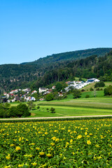 Egerkingen-Oberbuchsiten im Bezirk Gäu im Kanton Solothurn, Schweiz 