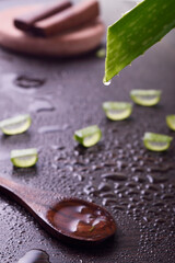 Closeup of aloevera plant drop with spoon