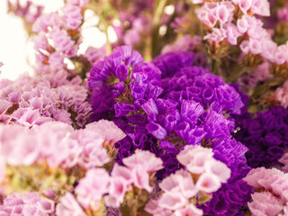 Flowers dried flowers purple and pink bouquet