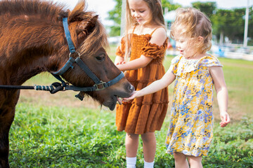 Two little girls feeding a pony. Farm and kids. Fall fun activities for children at the farm. Feeding farm animals.  - obrazy, fototapety, plakaty